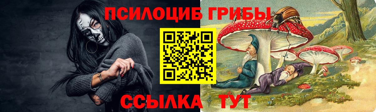 Псилоцибиновые грибы MAGIC MUSHROOMS Абинск